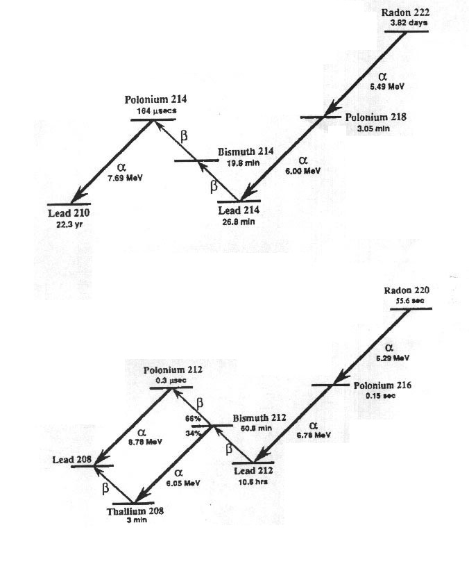 PRN700 智能環(huán)境氡測量儀(圖3)