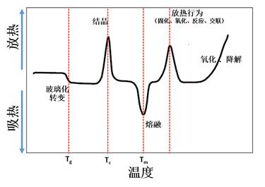 「科研干貨」一文解讀差示掃描量熱儀（DSC）的工作原理